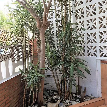 Casa vacanze Casa Del Mar 1 Nerja